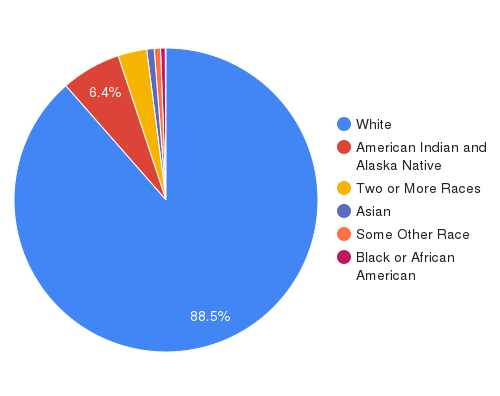 population by race for montana